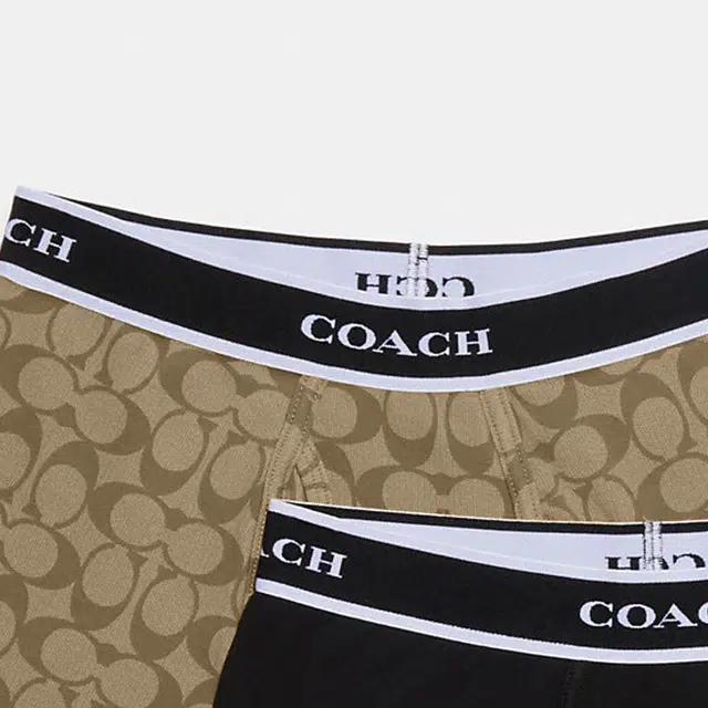 COACH Logo 2