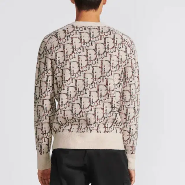 DIOR FW23 V