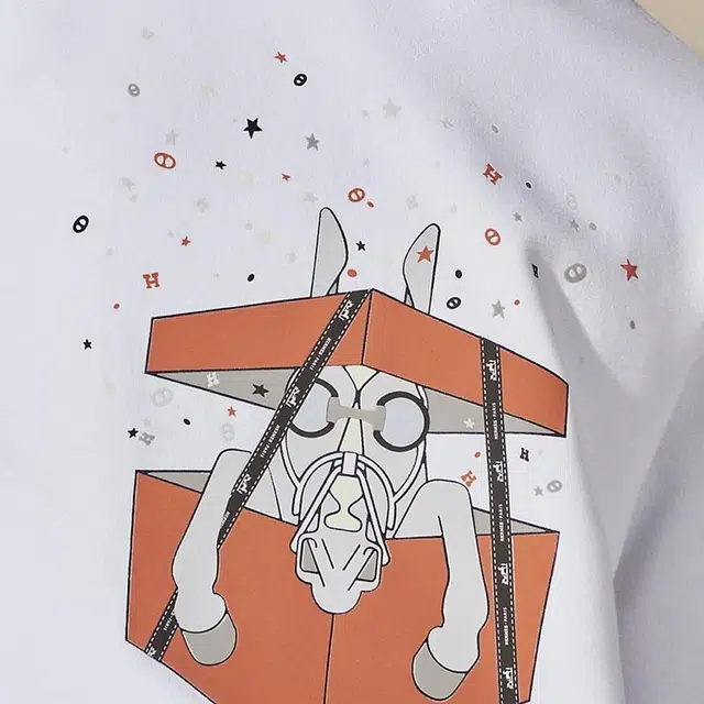 HERMES