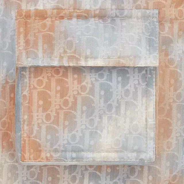 DIOR SS24 Logo