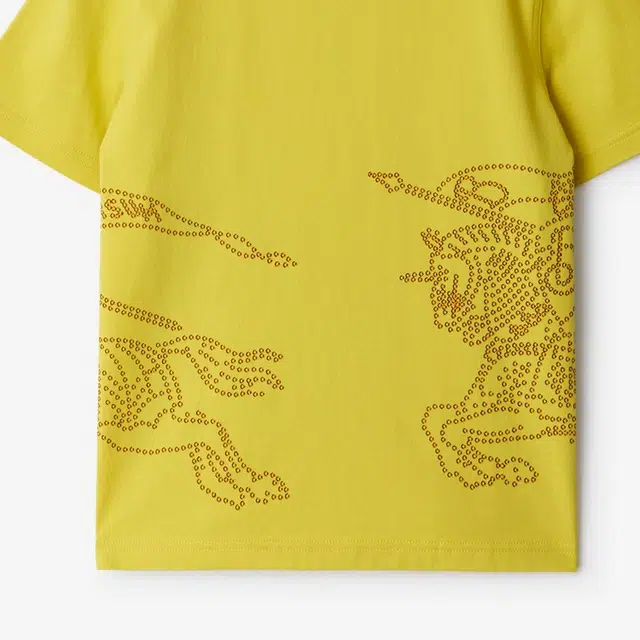 Burberry SS24 LogoT