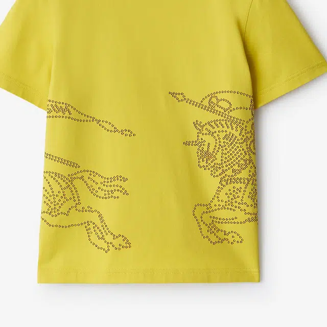 Burberry SS24 LogoT