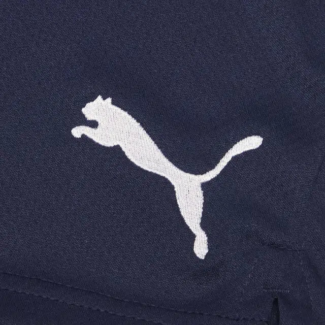 Puma SW