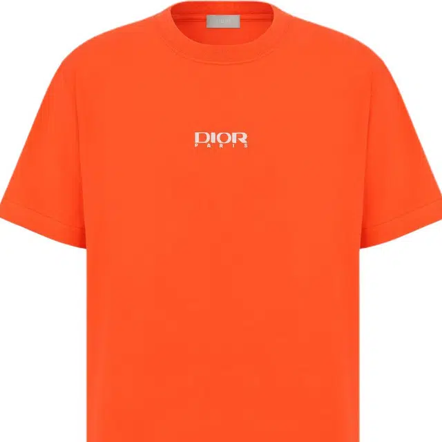 DIOR SS26 T