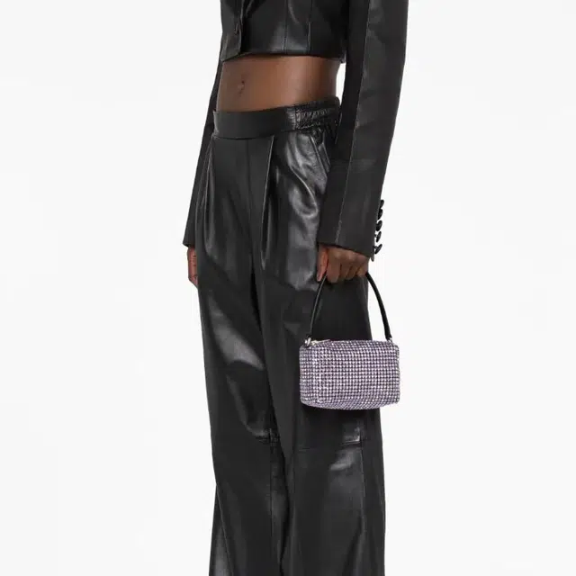 alexander wang