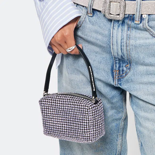 alexander wang