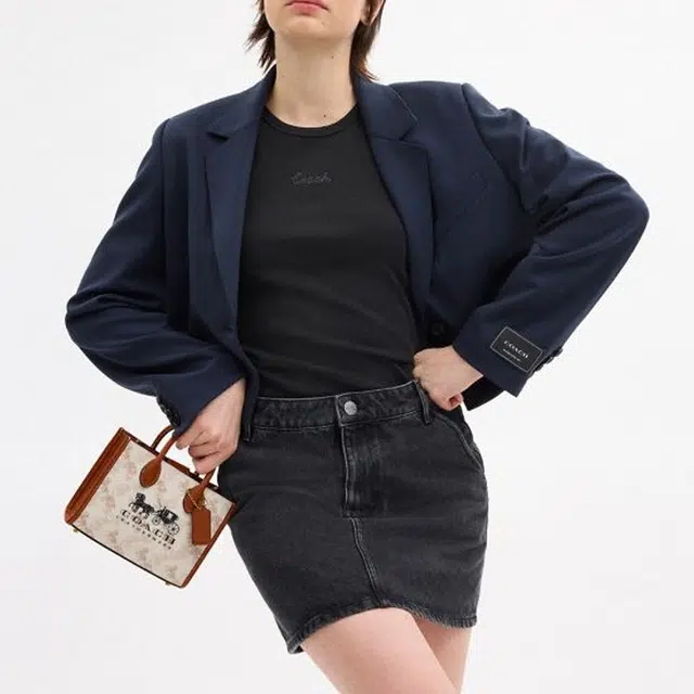 COACH Ace 17 Tote