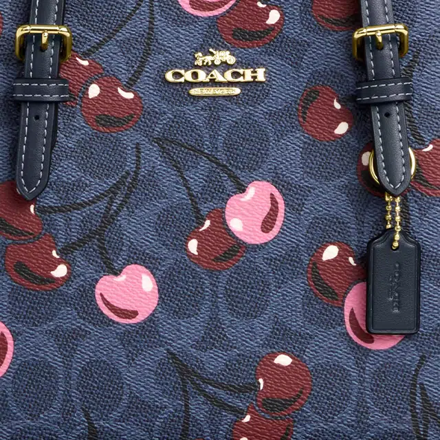 COACH Mollie 25 Tote