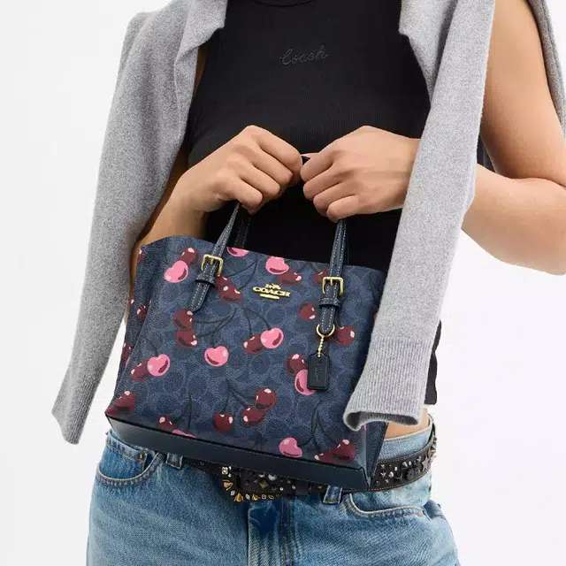 COACH Mollie 25 Tote