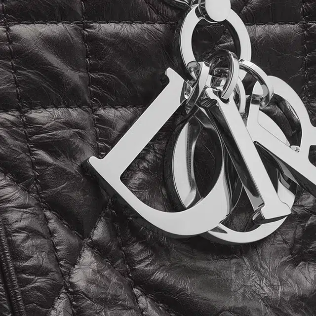 DIOR D-Motion