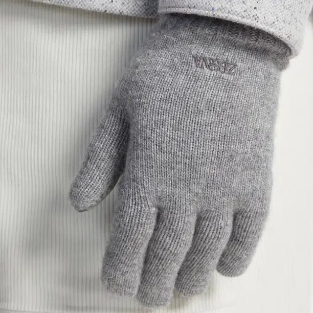 Zegna Logo