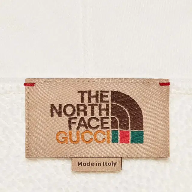 GUCCI x THE NORTH FACE FW21