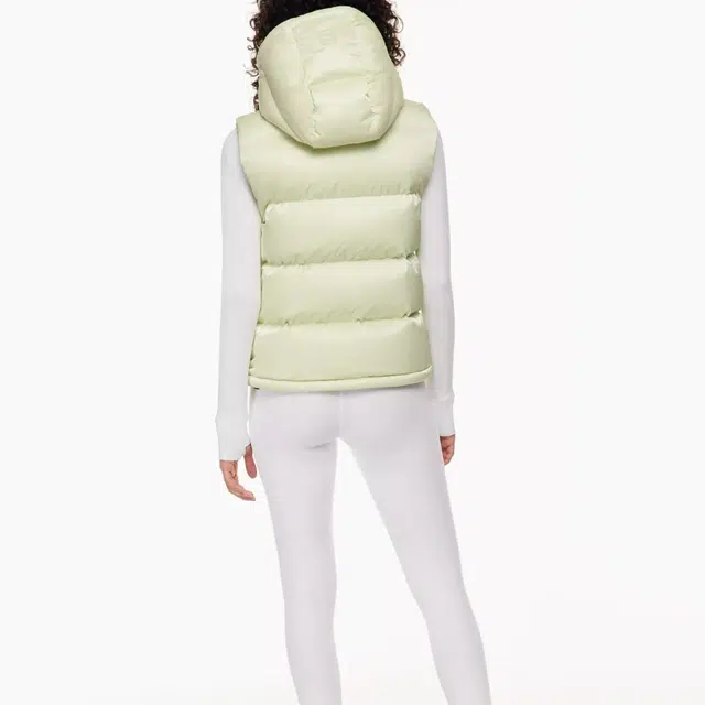 ARITZIA Super Puff Liquid Shine 5