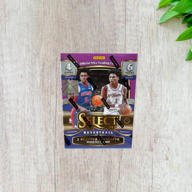 PANINI 23-24 select