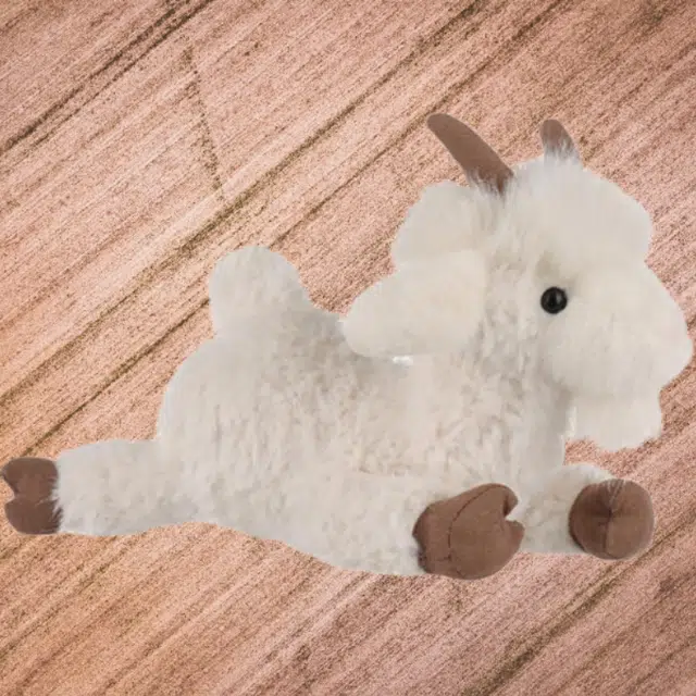 APRICOT LAMB 25cm