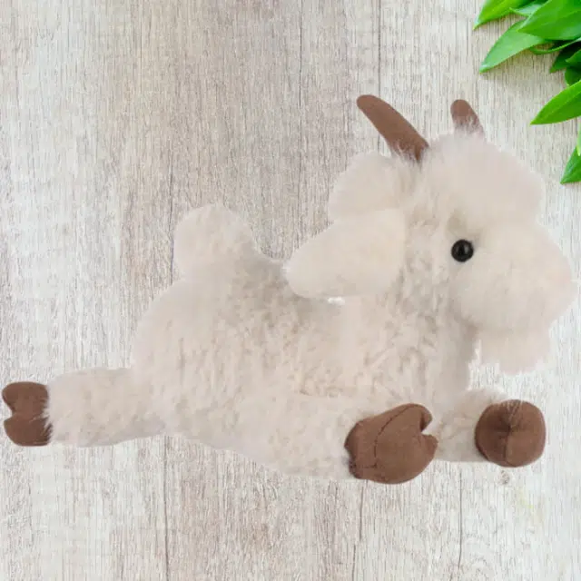 APRICOT LAMB 25cm