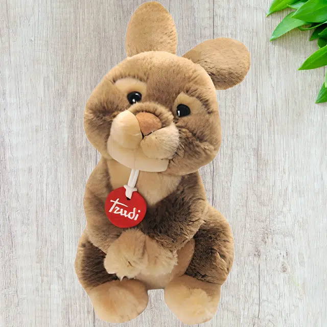 TRUDI Peter 22cm