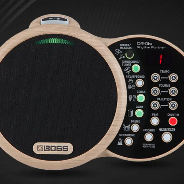 Roland BOSS DR-01S