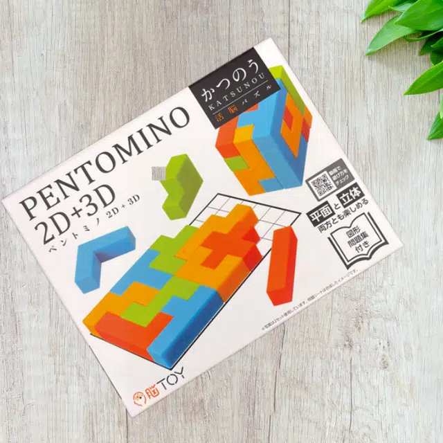 HANAYAMA Pentomino 3DPuzzle