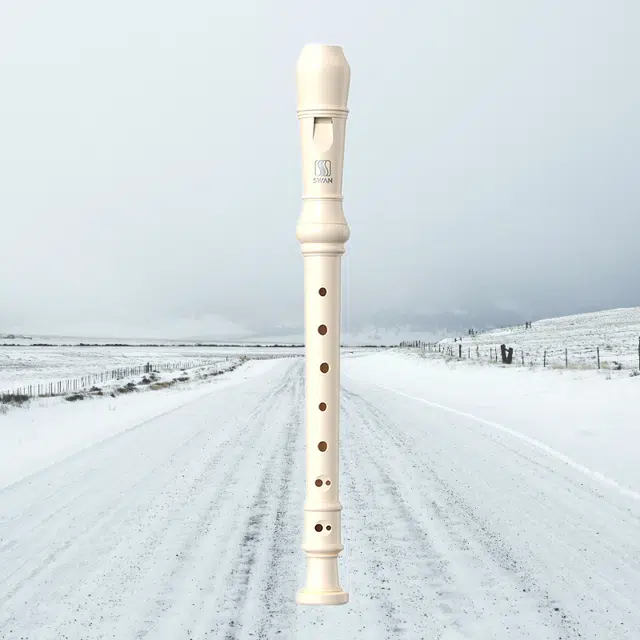 (Swan)D2 8