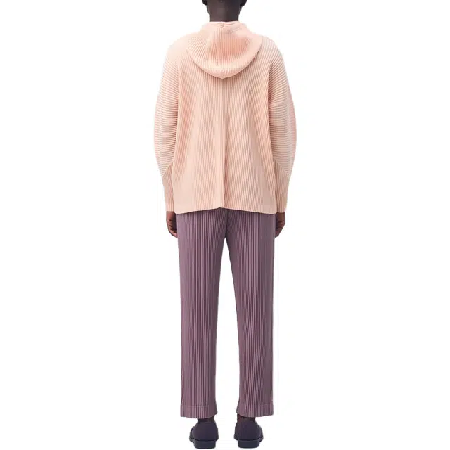 Homme Pliss Issey Miyake FW25
