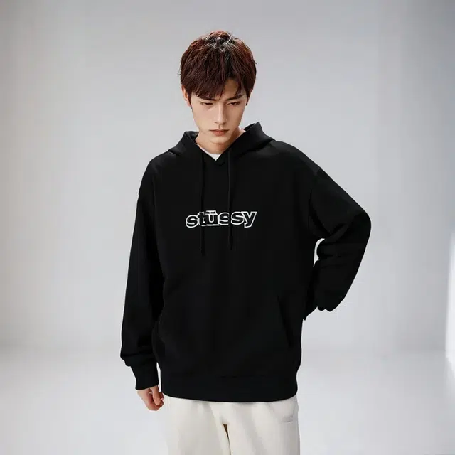 Stussy FW23 SS-LINK HOODIE S