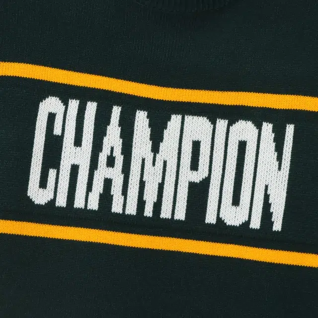 Champion FW24