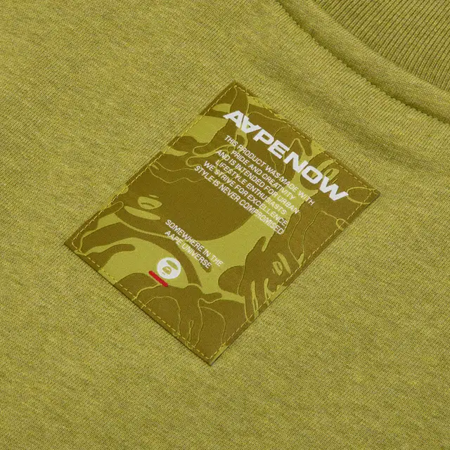 Aape FW24 V