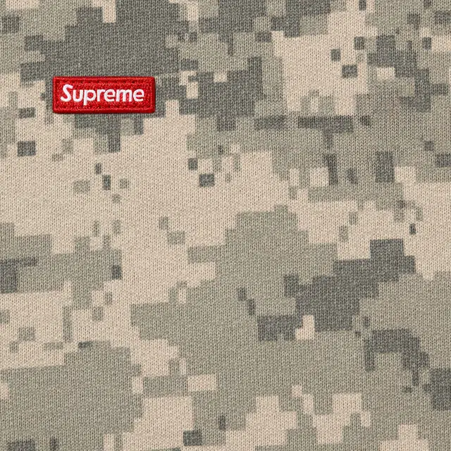 Supreme FW25 Small Box Hooded Sweatshirt