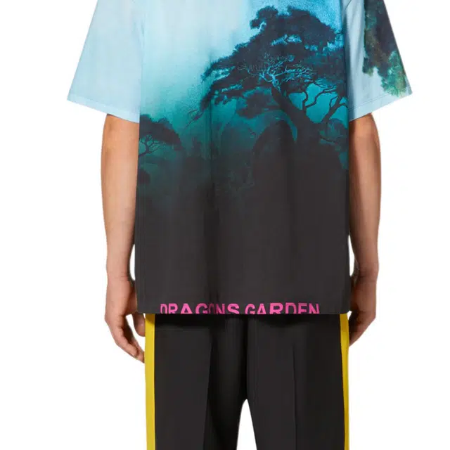 Valentino T