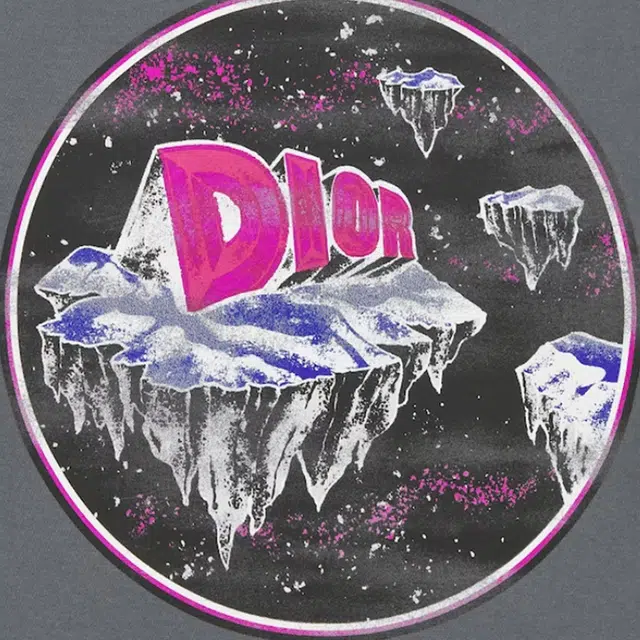 DIOR T