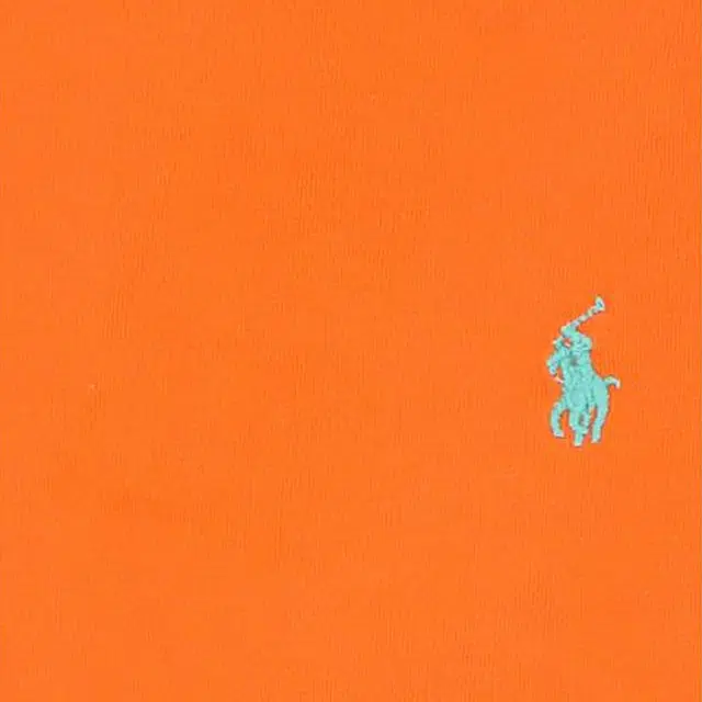 Polo Ralph Lauren T