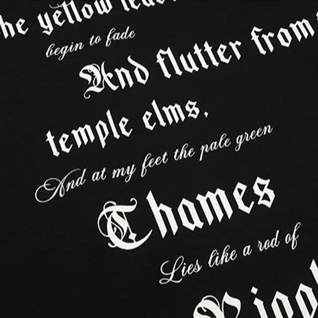 Alexander McQueen SS25 T