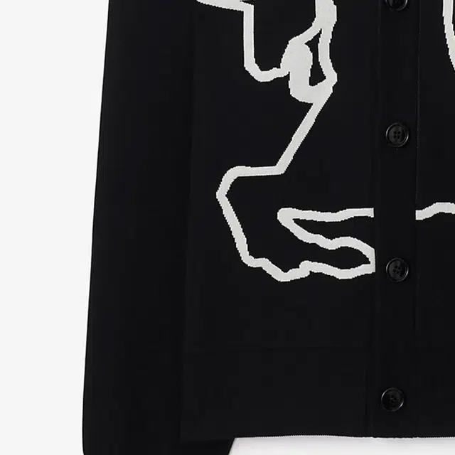 Burberry FW24 V