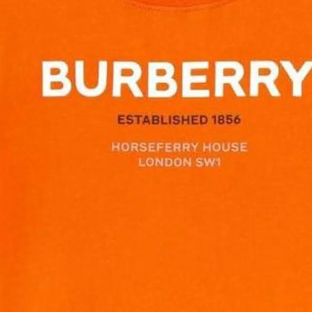 Burberry SS23 LogoT