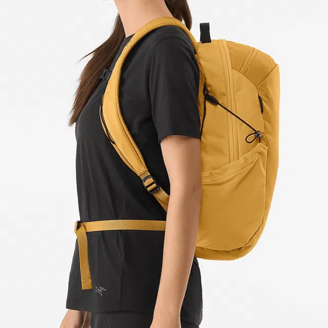 Arcteryx Heliad 15