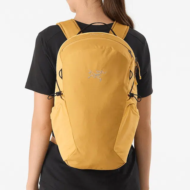 Arcteryx Heliad 15