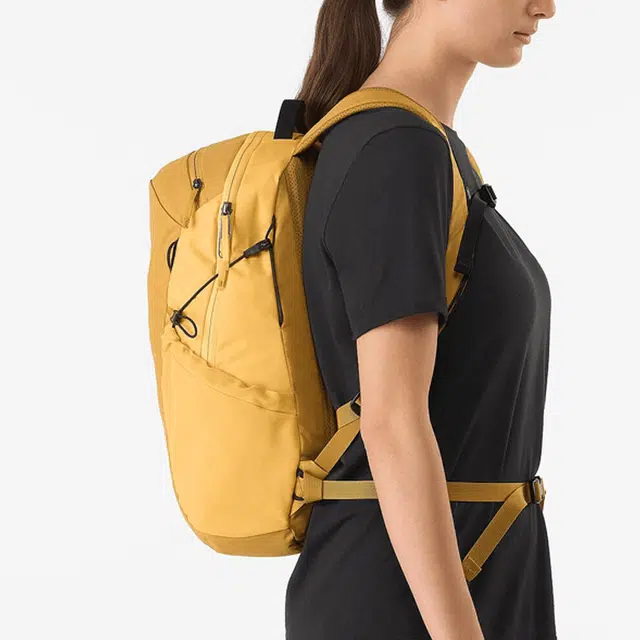 Arcteryx Heliad 15