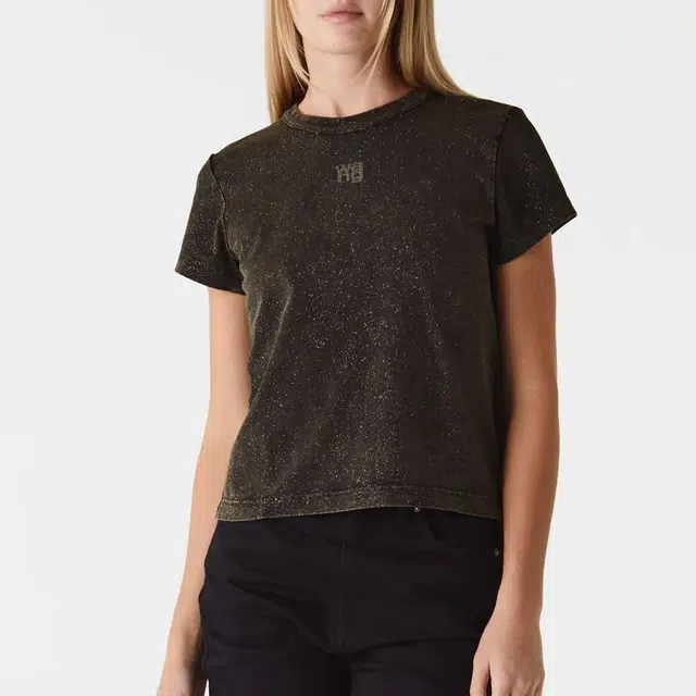 alexander wang LogoT