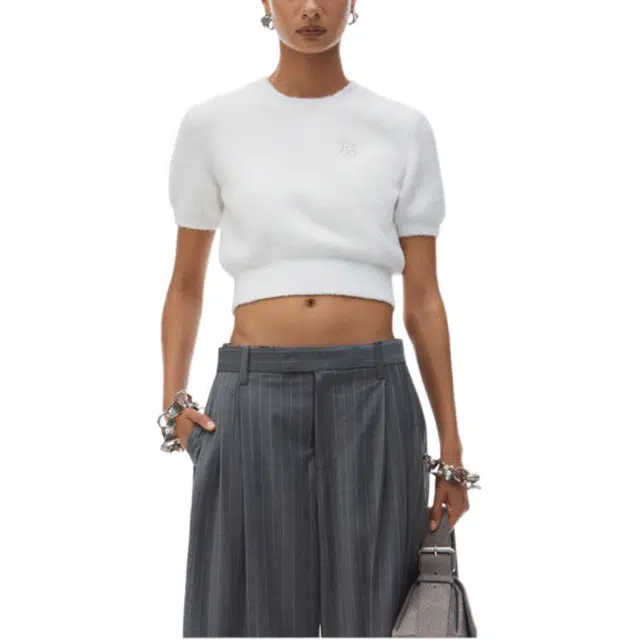 alexander wang FW24T