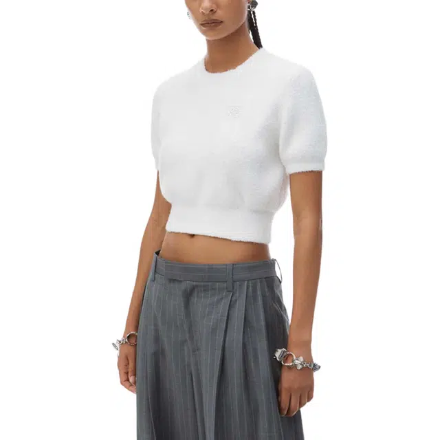 alexander wang FW24T