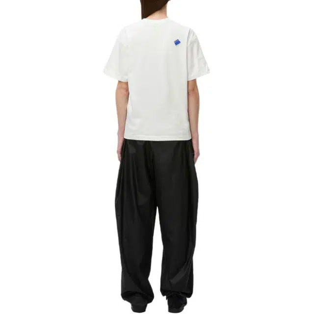 ADER ERROR T