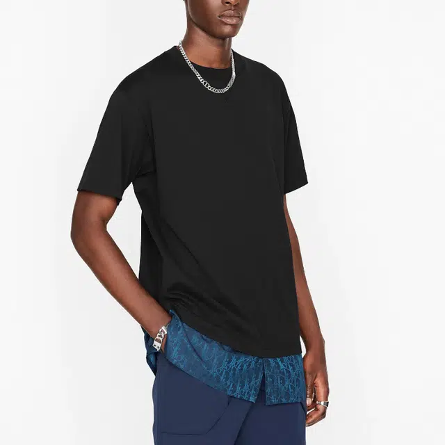 DIOR DIOR T