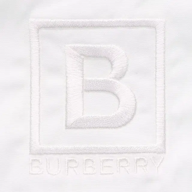 Burberry FW22 Logo