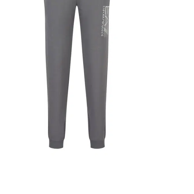 EMPORIO ARMANI FW22 Logo