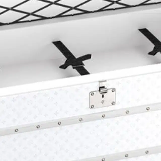 LOUIS VUITTON 110
