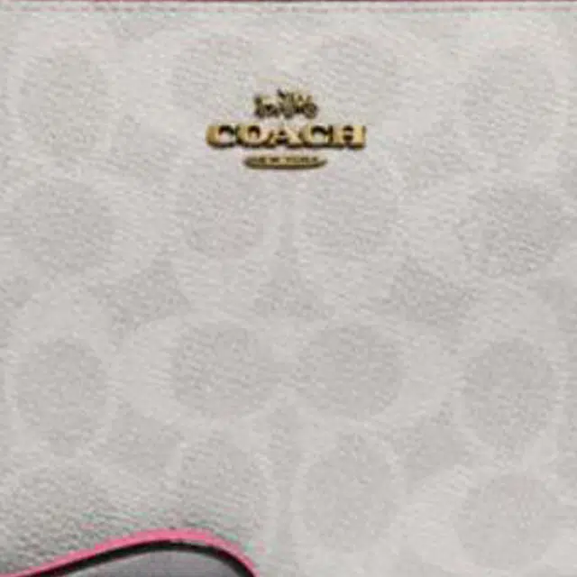COACH Wristlet 19