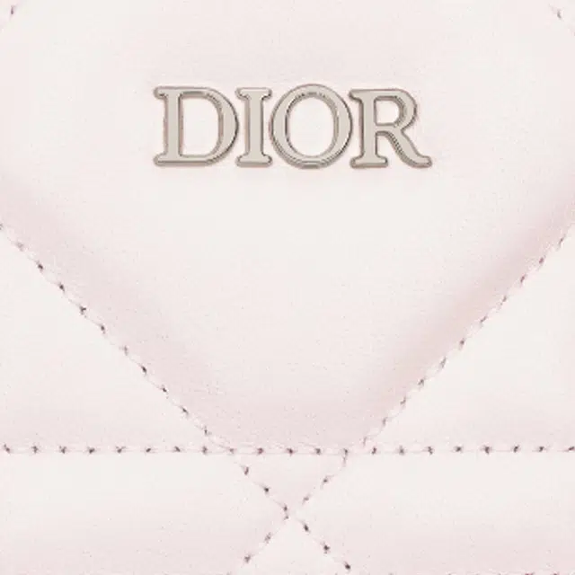 DIOR Rider 2.0 Logo