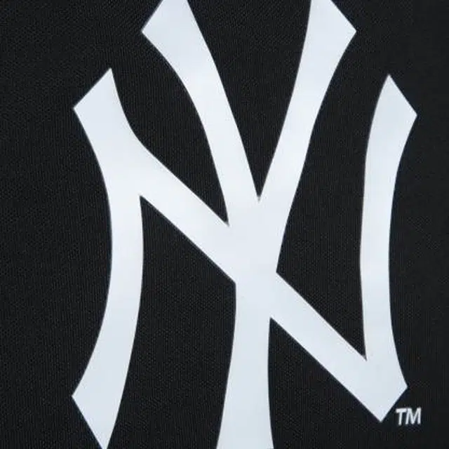 New Era 19L Logo
