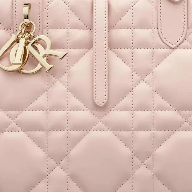 DIOR Toujours Tote